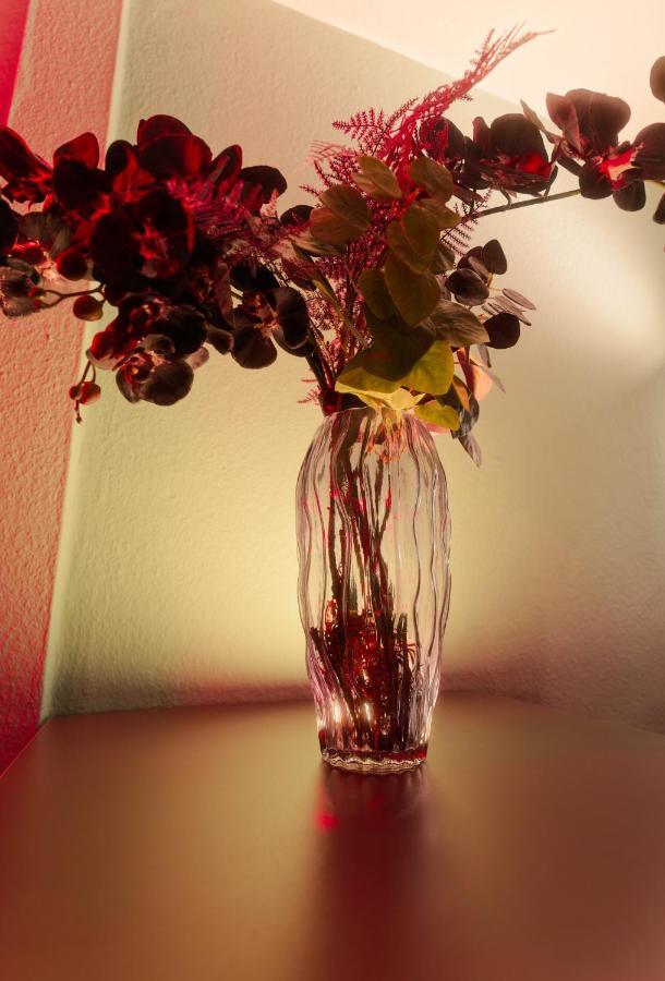 The Boutique Hamburg Apartments エクステリア 写真